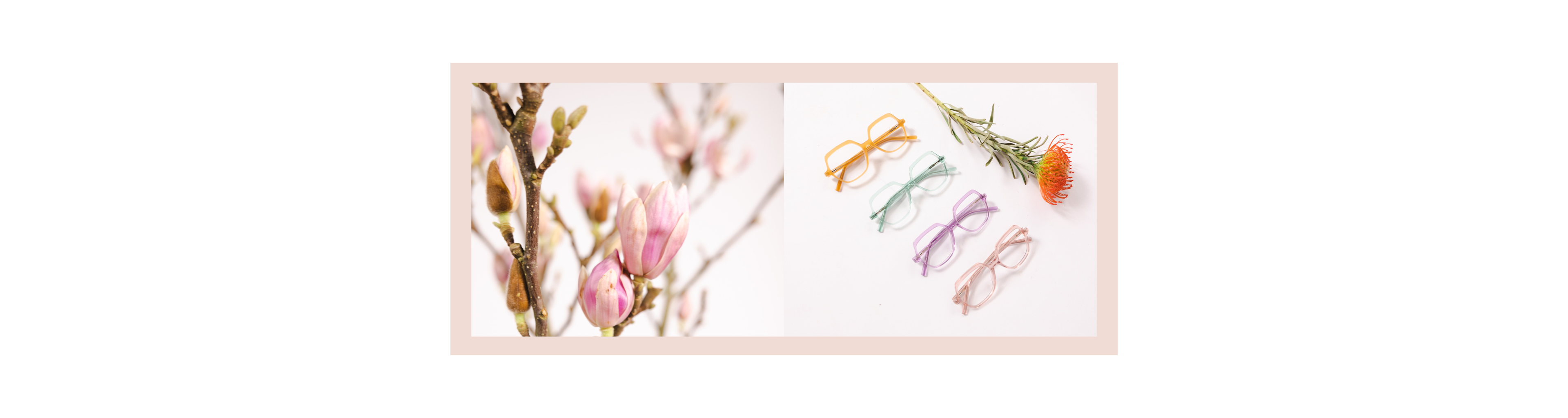 An image of flowers next to four pairs of reading glasses in colours for spring 2023